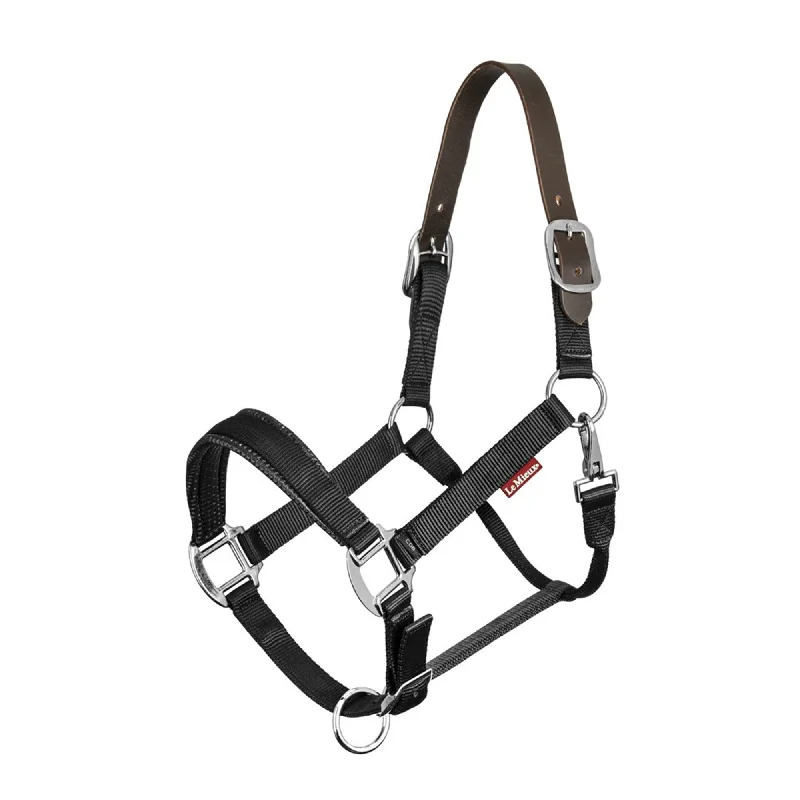 Lemieux Breakaway Headcollar